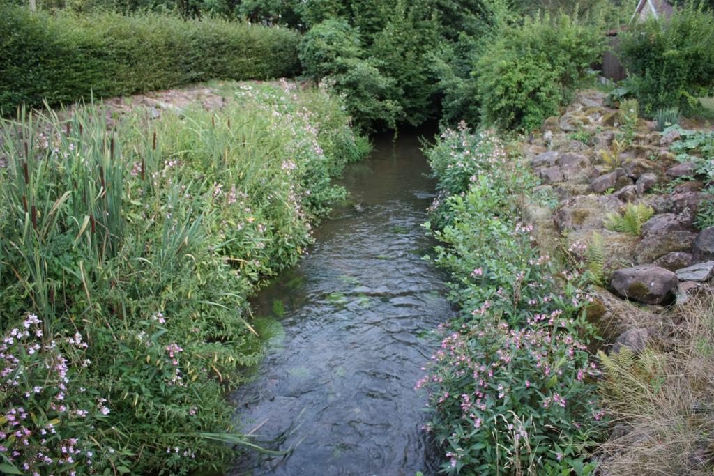 Gite Du Moulin Uhrwiller Eksteriør billede